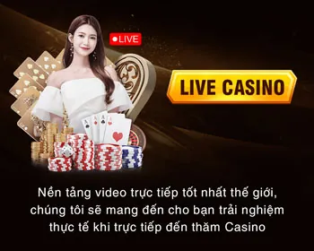 Hỗ trợ từ các tổ chức chuyên nghiệp